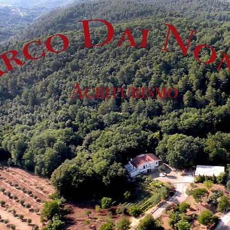 Agriturismo Parco Dai Nonni 伊斯基泰拉 外观 照片