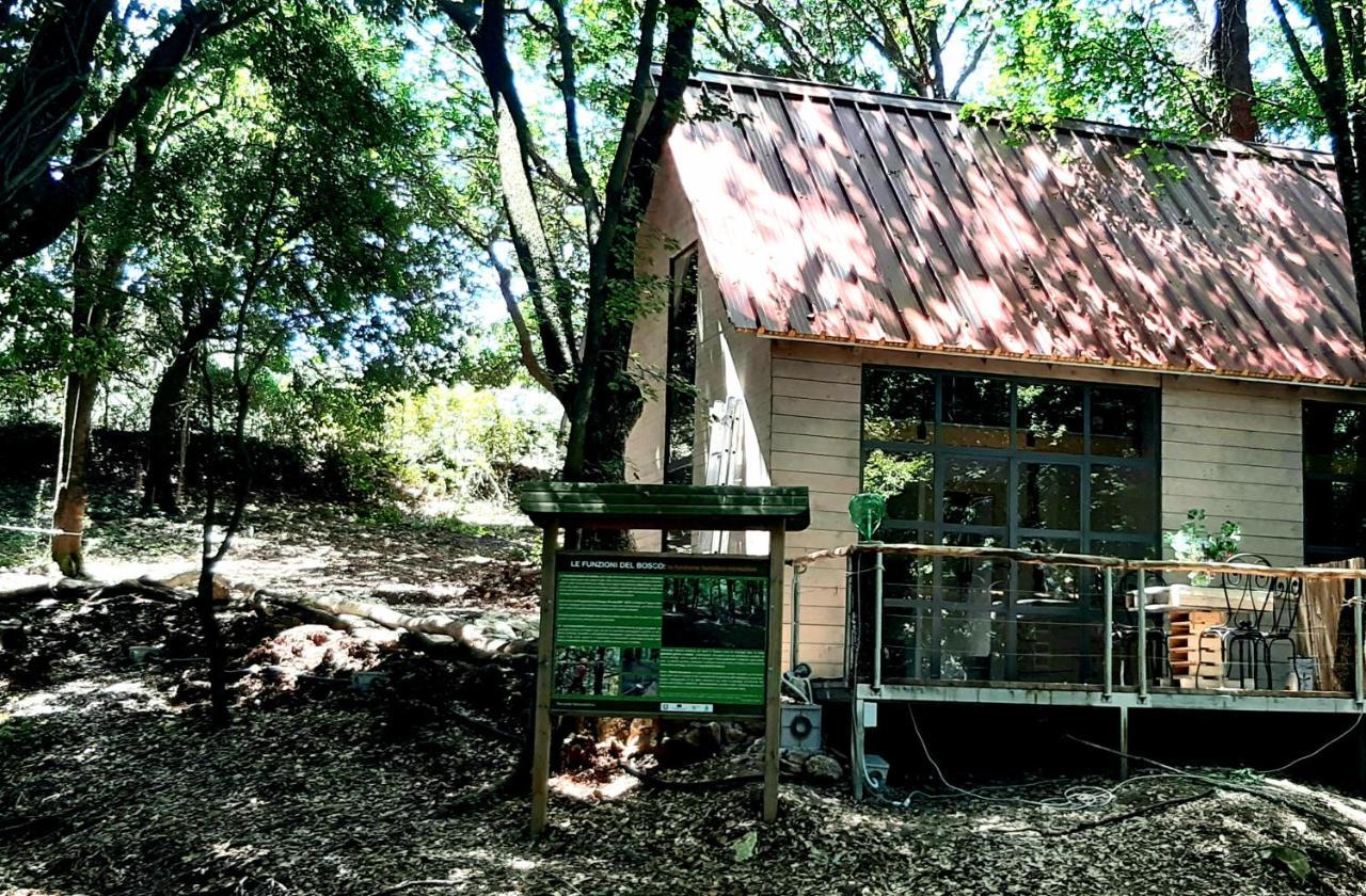 Agriturismo Parco Dai Nonni 伊斯基泰拉 外观 照片