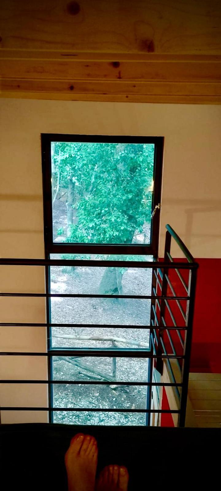 Agriturismo Parco Dai Nonni 伊斯基泰拉 外观 照片
