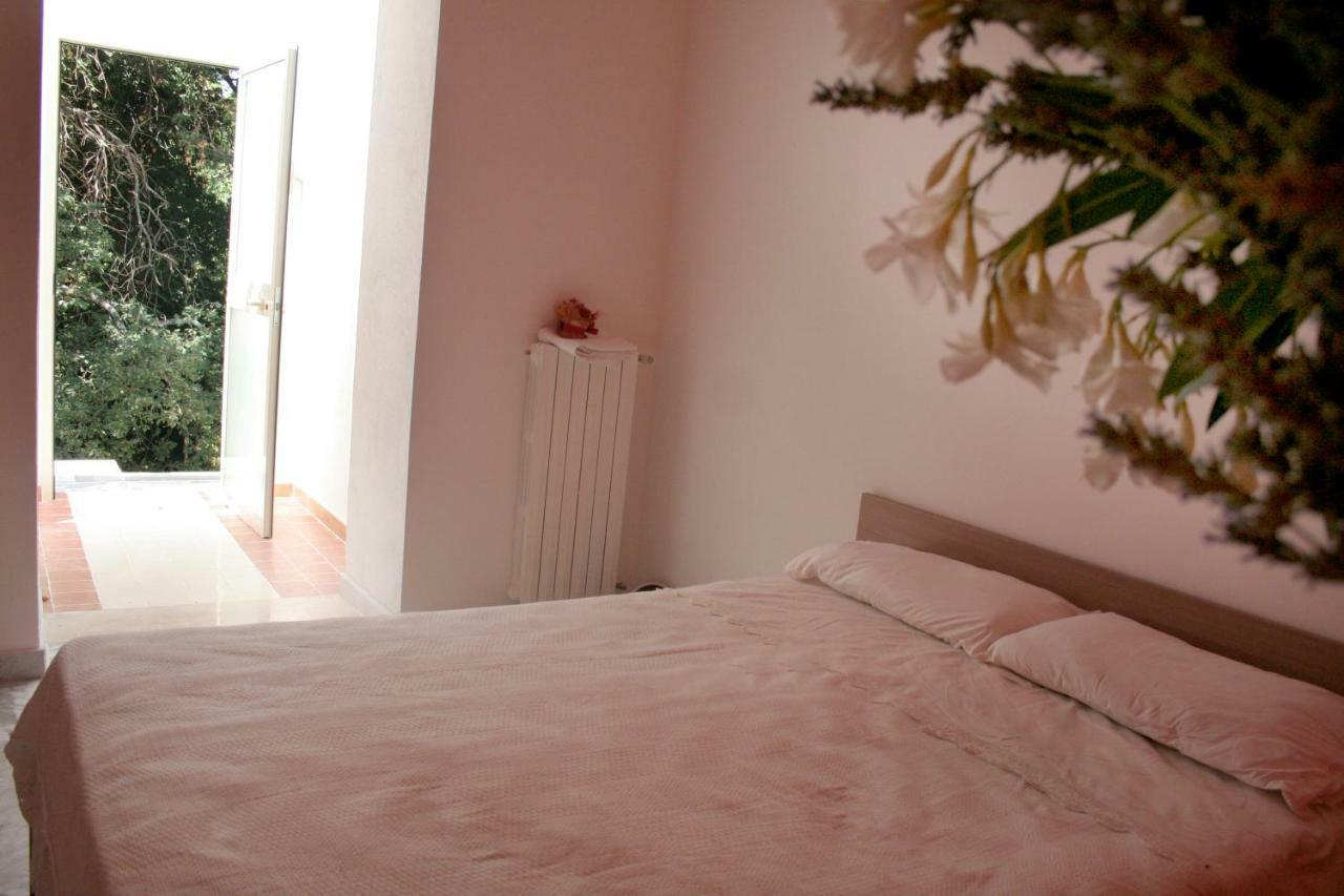 Agriturismo Parco Dai Nonni 伊斯基泰拉 外观 照片