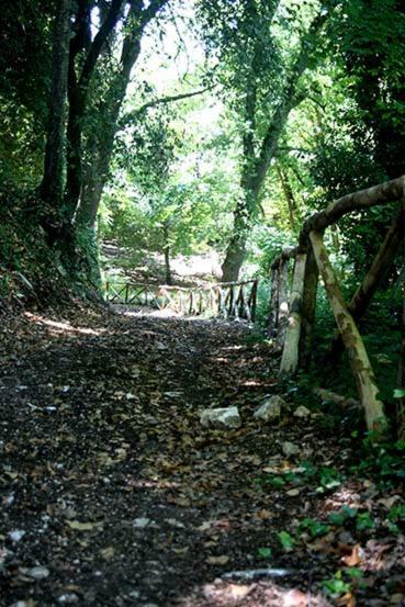 Agriturismo Parco Dai Nonni 伊斯基泰拉 外观 照片